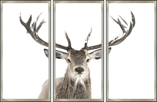 PICTURE DEP - TRIPTYCH STAG PICTURE